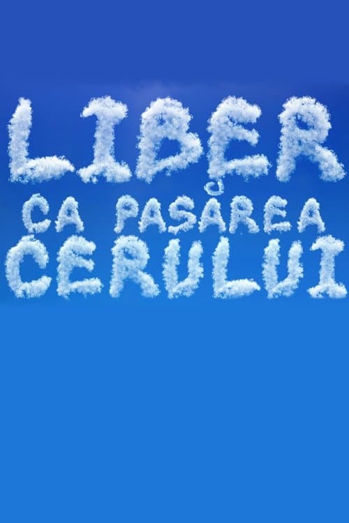 Liber ca pasărea cerului CDA HD CDA HD • Lektor PL • Gdzie obejrzeć?